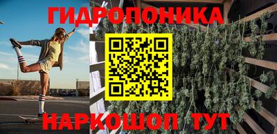 прущие грибы Лесосибирск