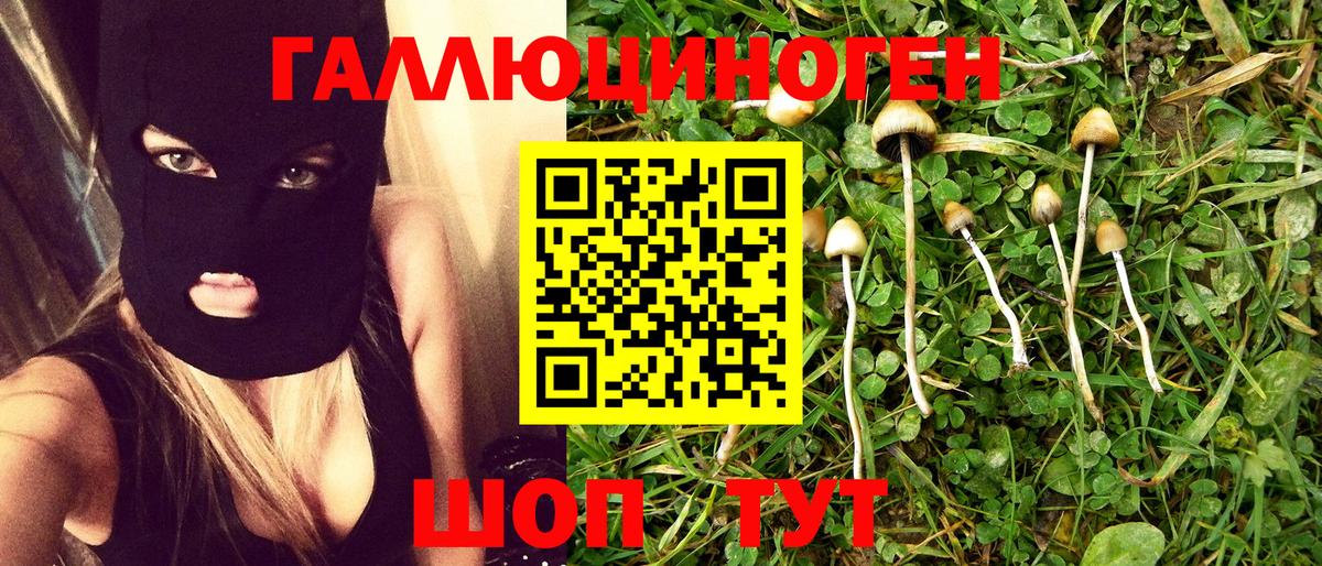 Галлюциногенные грибы GOLDEN TEACHER  Галлюциногенные грибы GOLDEN TEACHER  Кузнецк  Вход с VPN 